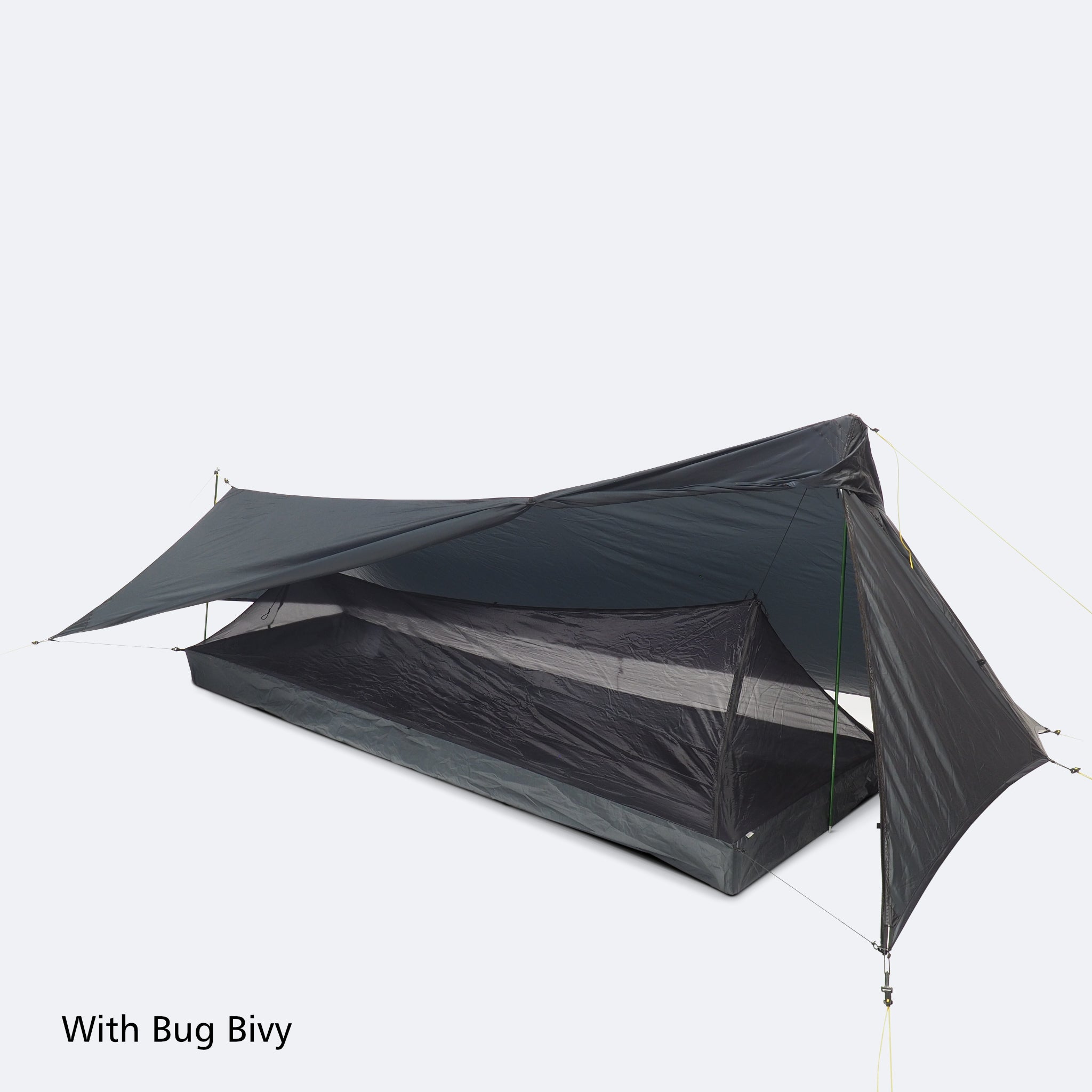 1P Cirriform Double-Wall System