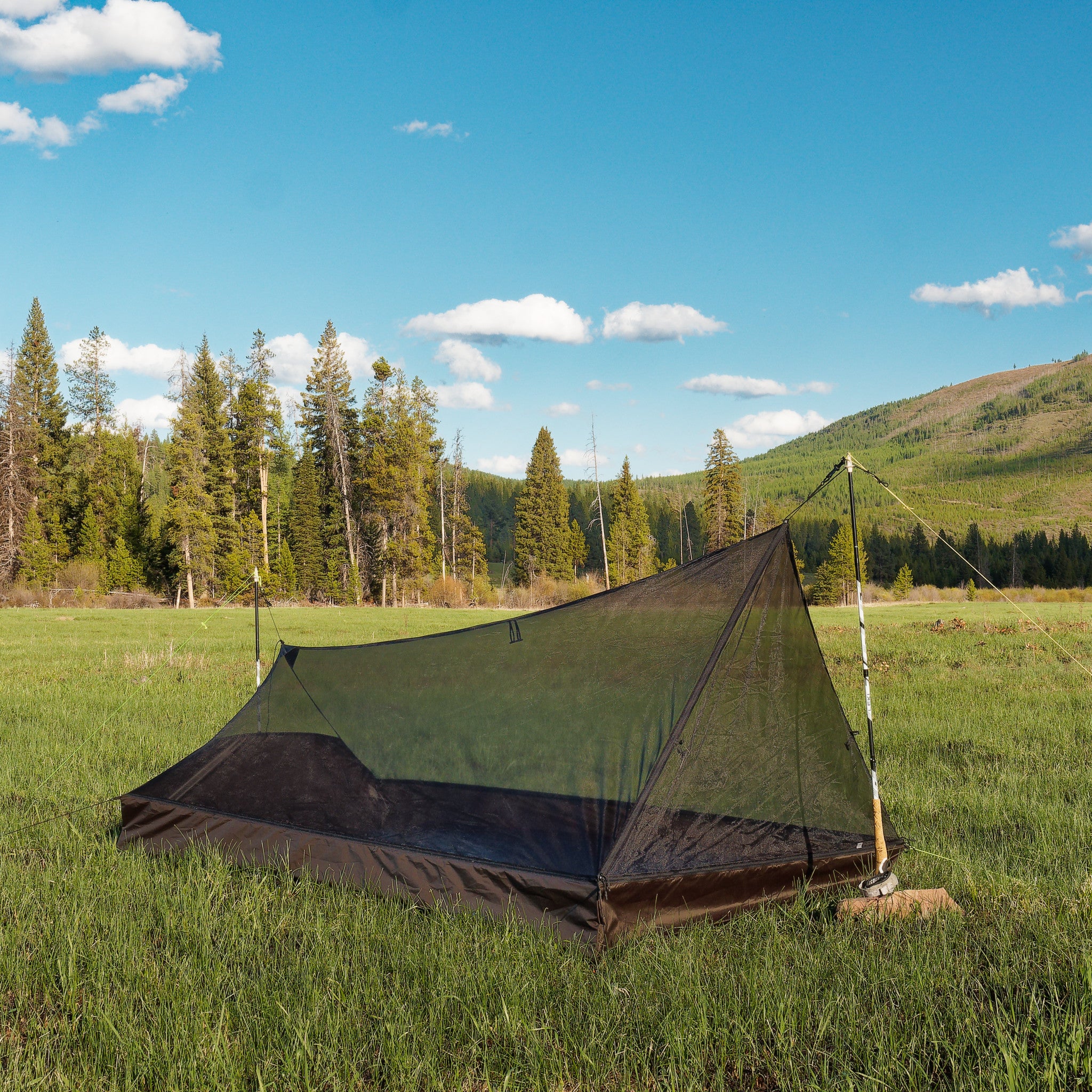 quantum tarp shad 2P Bug Shelter for Tarp Camping