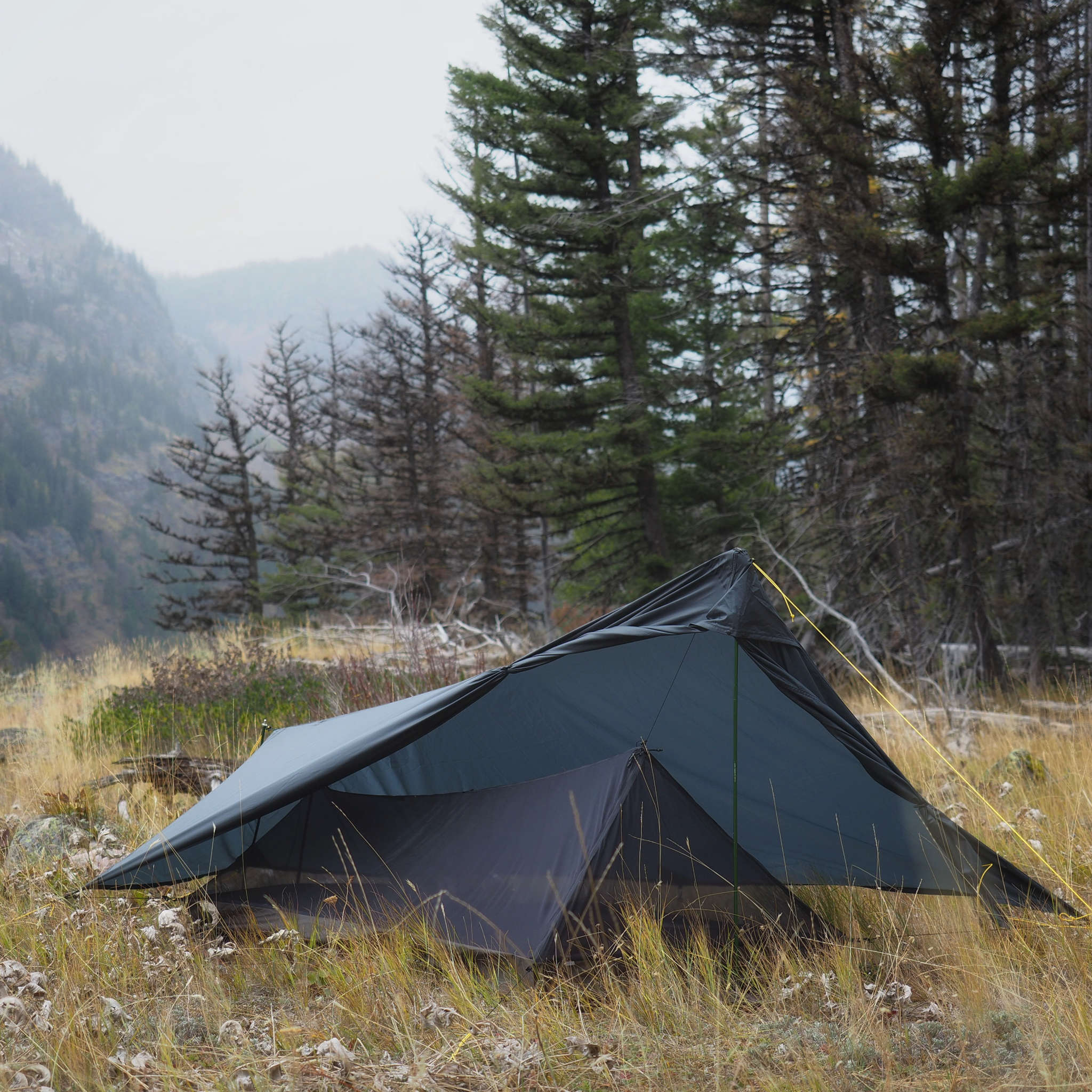tarp forum 1P Cirriform Double-Wall System