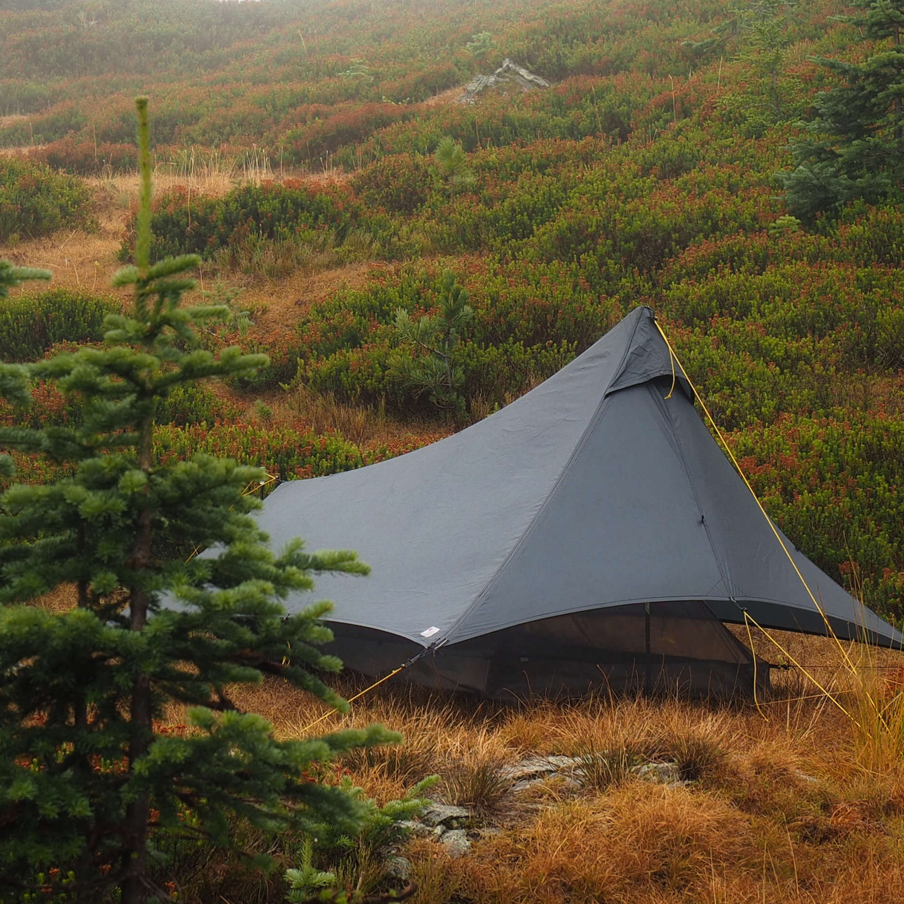1P Cirriform Double-Wall System | YAMA Mountain Gear