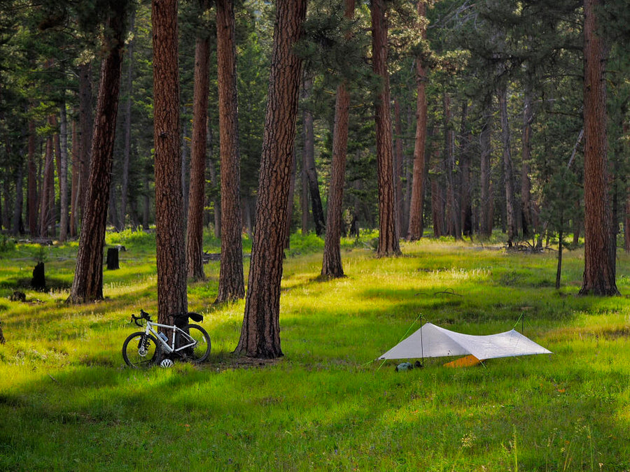 mf foliendesign tarp 8'/6' Tapered Tarp