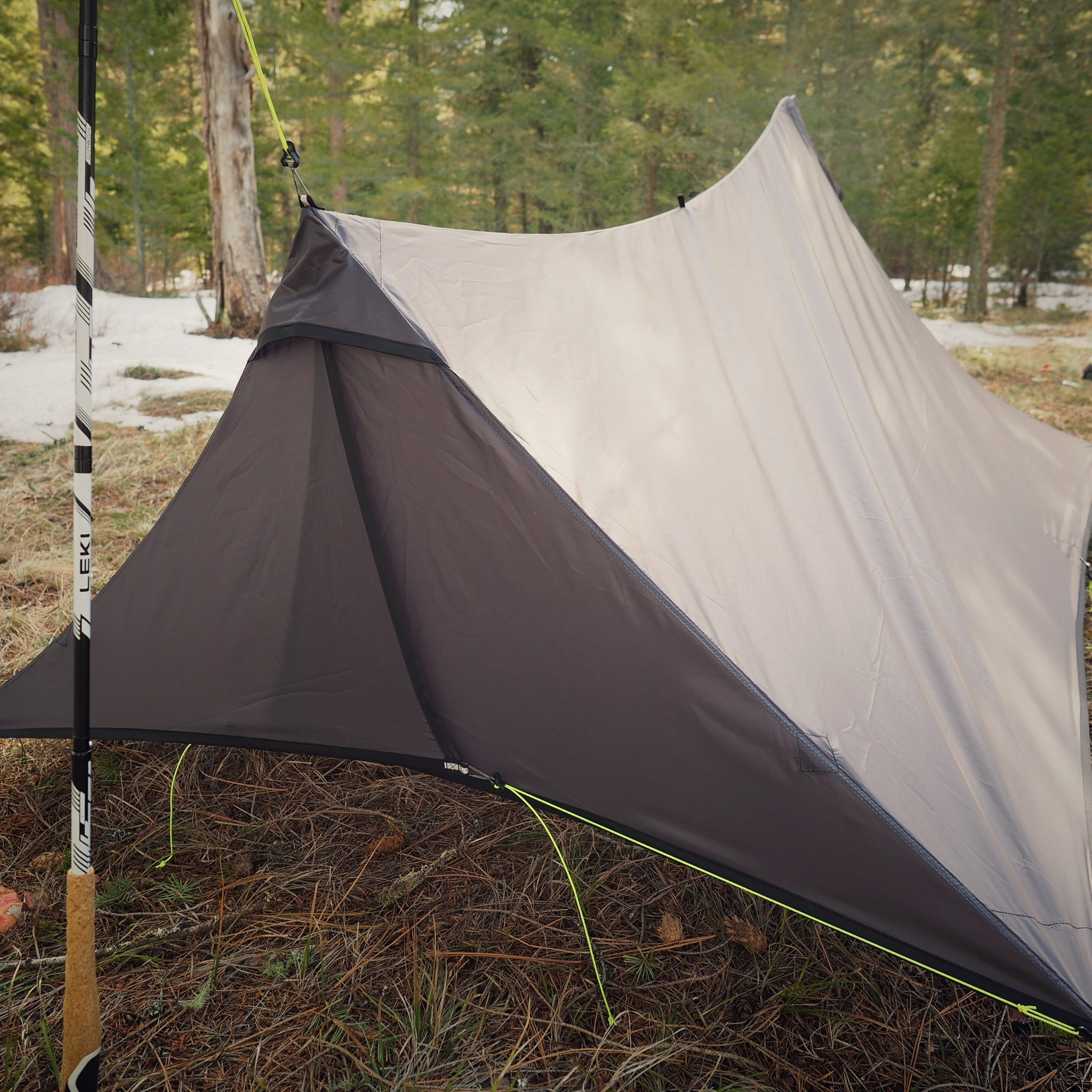 P4093649-01_4100x.jpg?v=1681783320